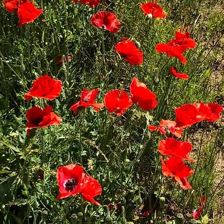 Arkonablick Daire Lohme